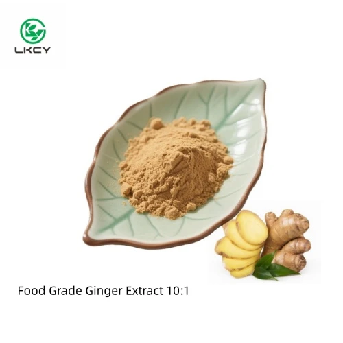 Extrato de gengibre de qualidade alimentar